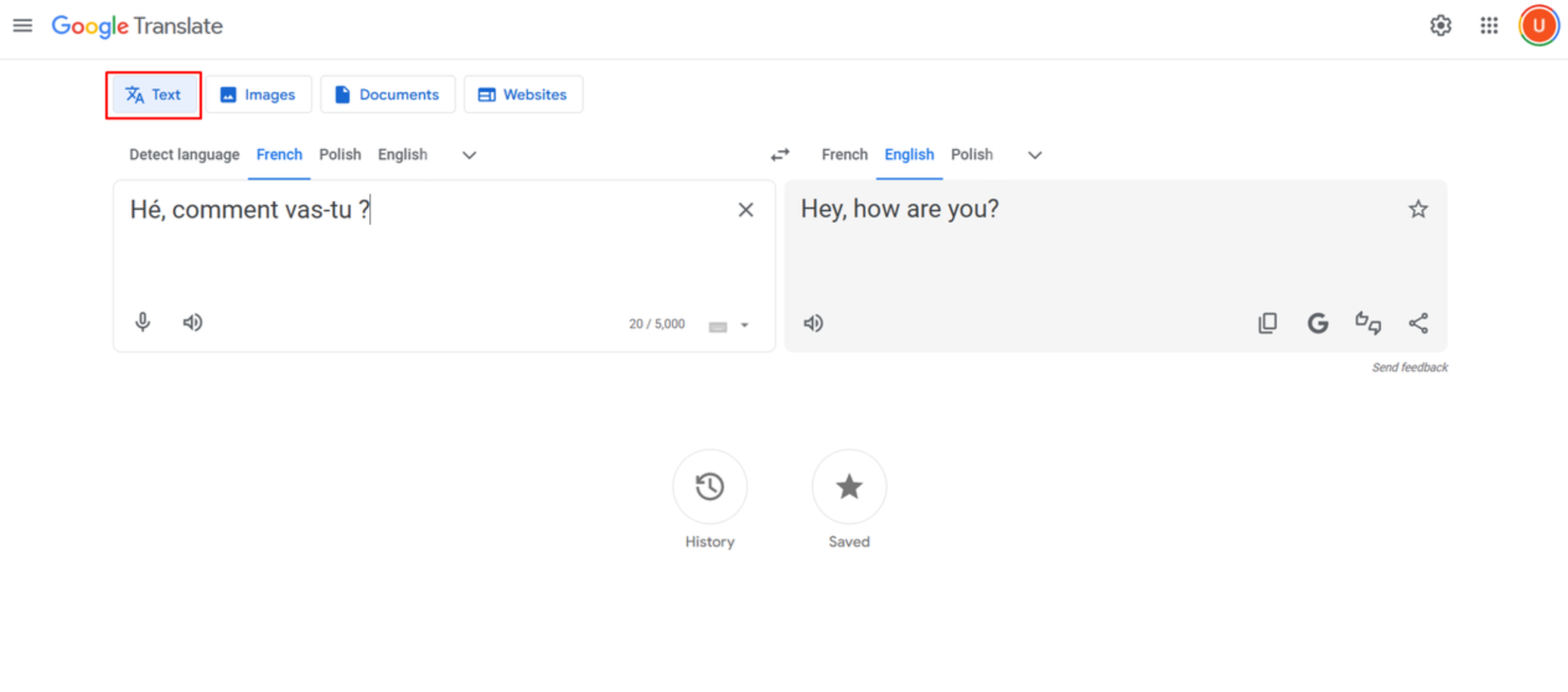 Converting French text to English on Google Translate