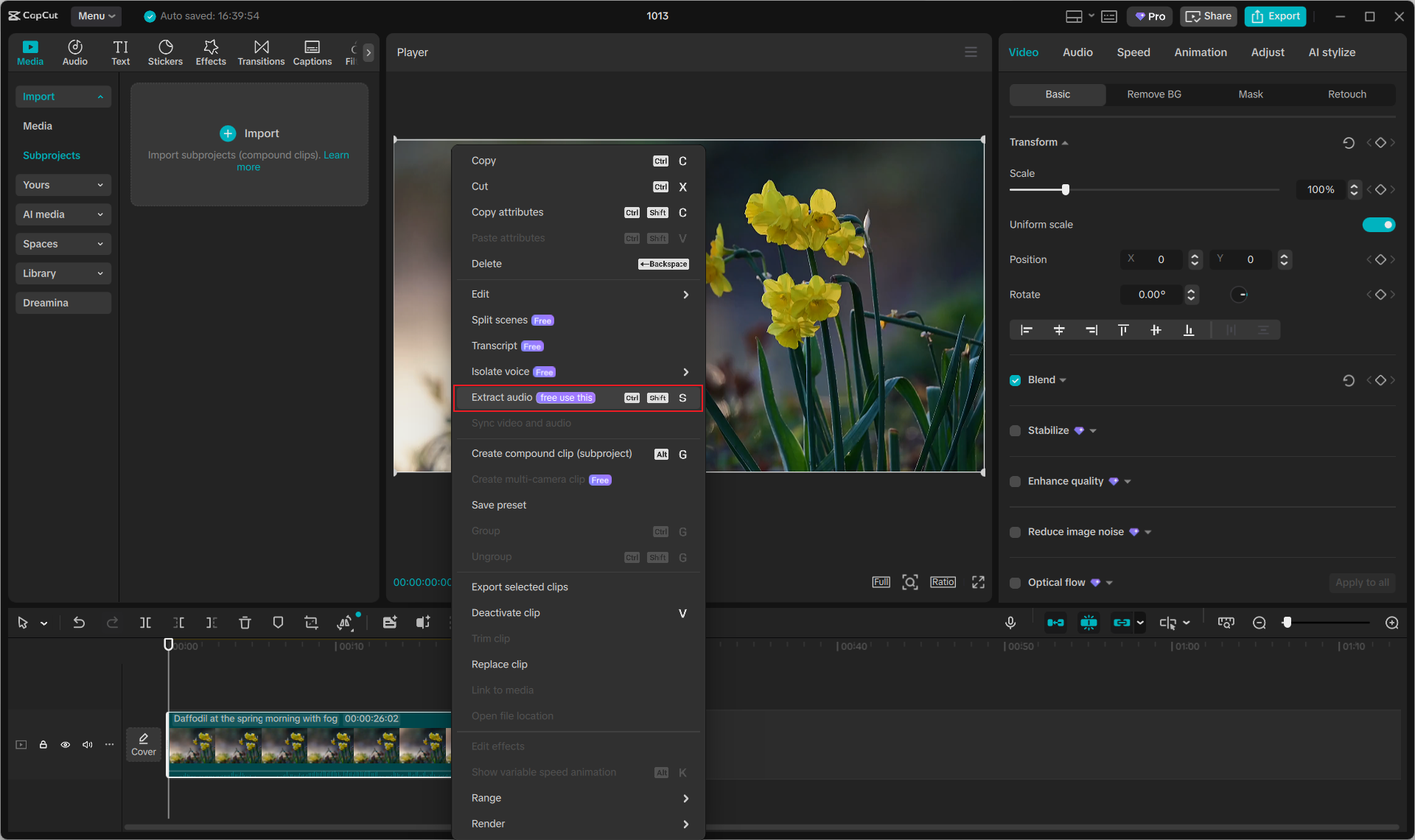 Extract audio from video