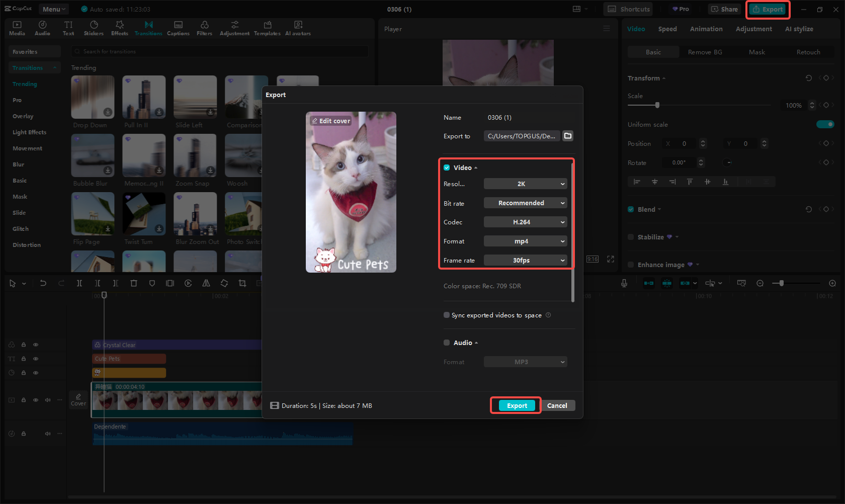 Export the Reel