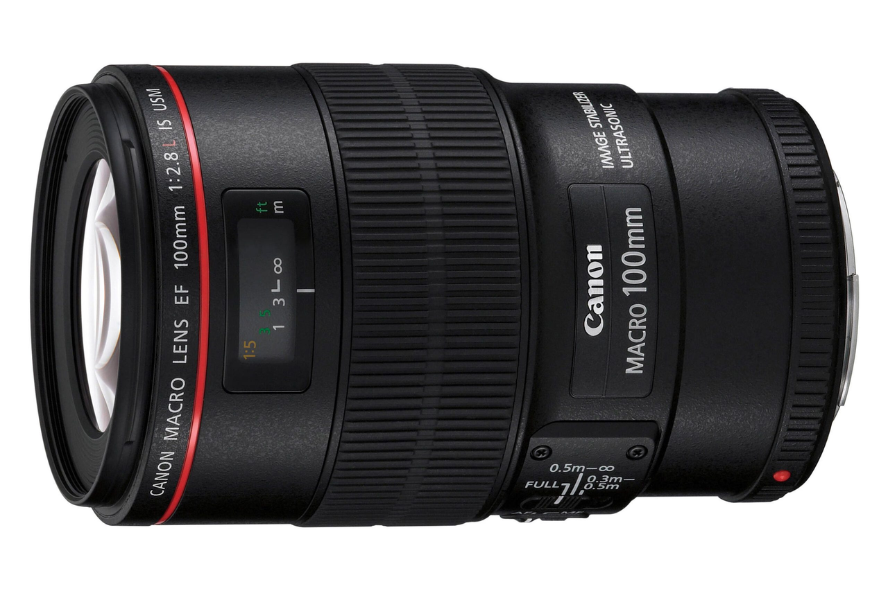 Canon 100mm EF macro lens with stabilization