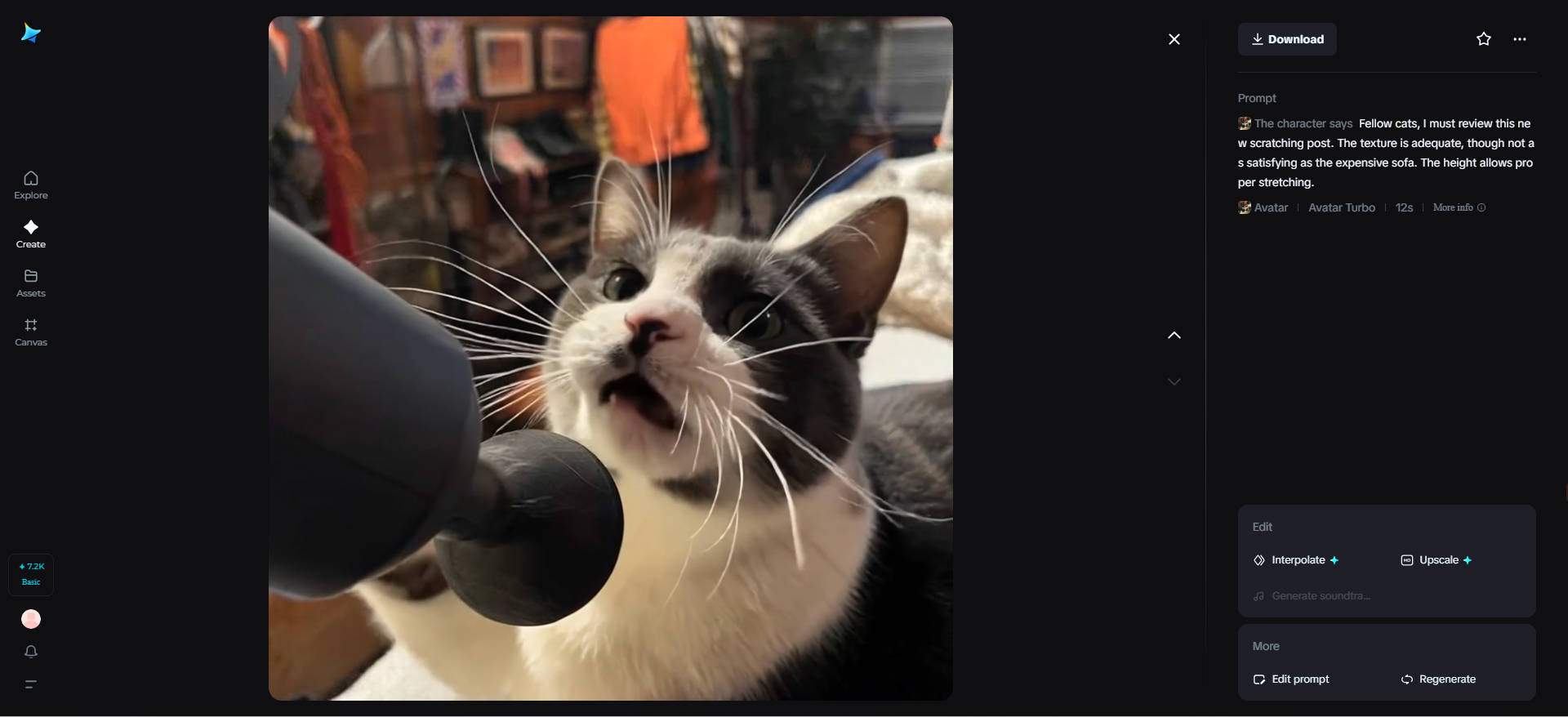 Cat product reviewer