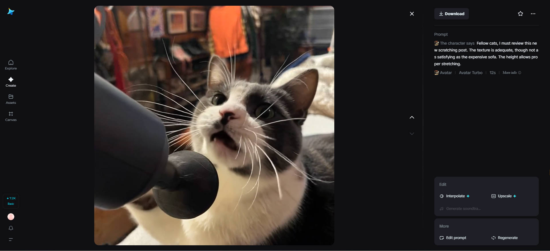 Cat product reviewer