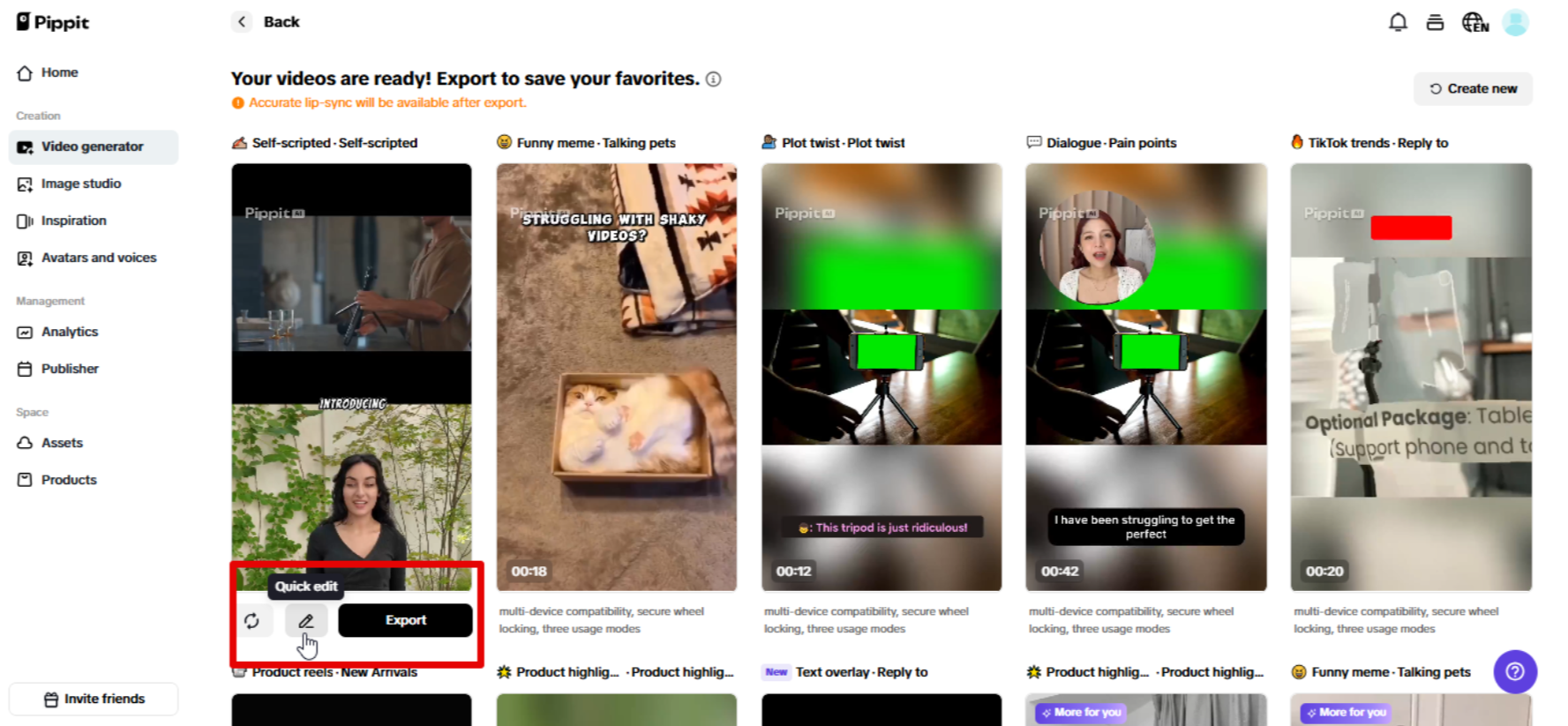 Exporting video from Pippit