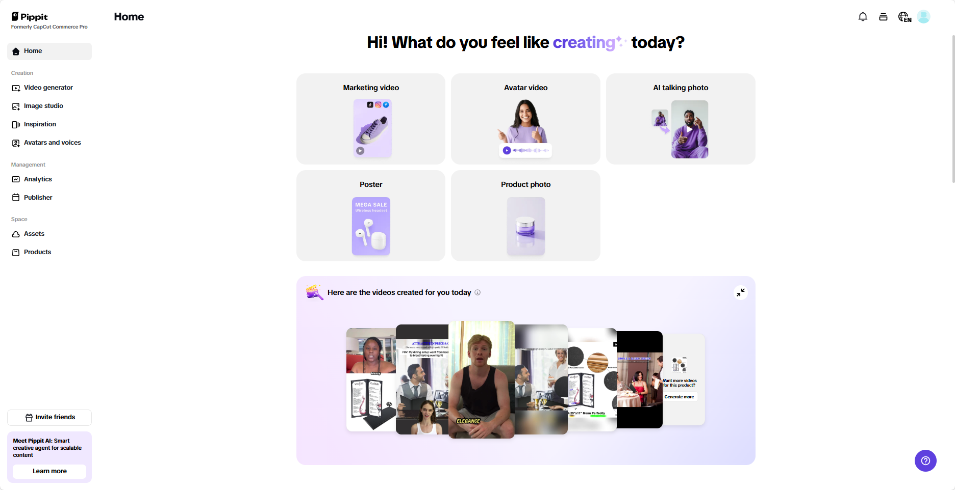 Pippit's interface
