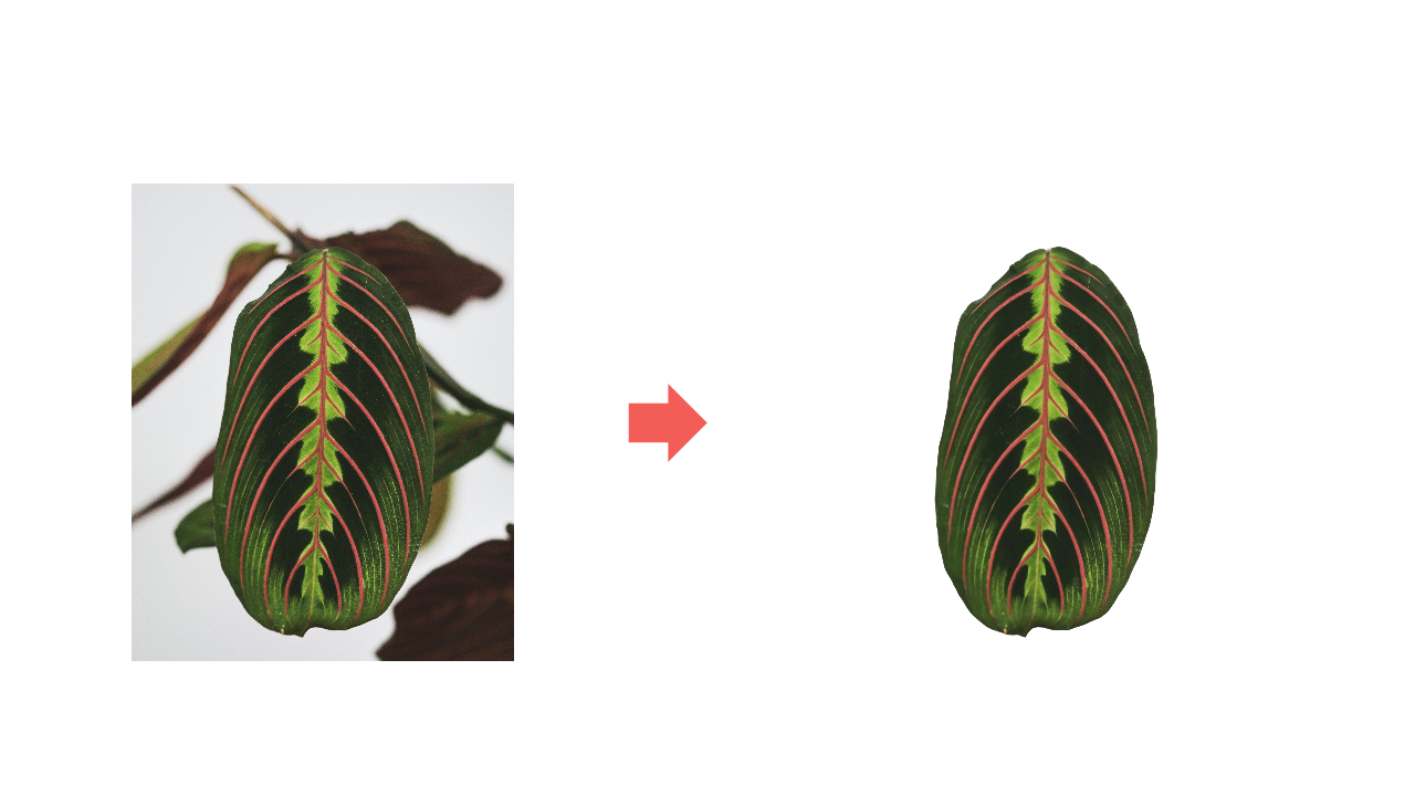 leaf texture art