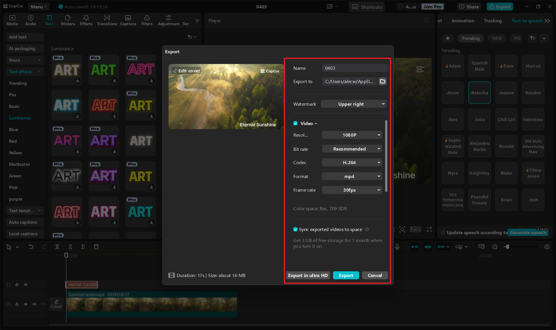 Export your video