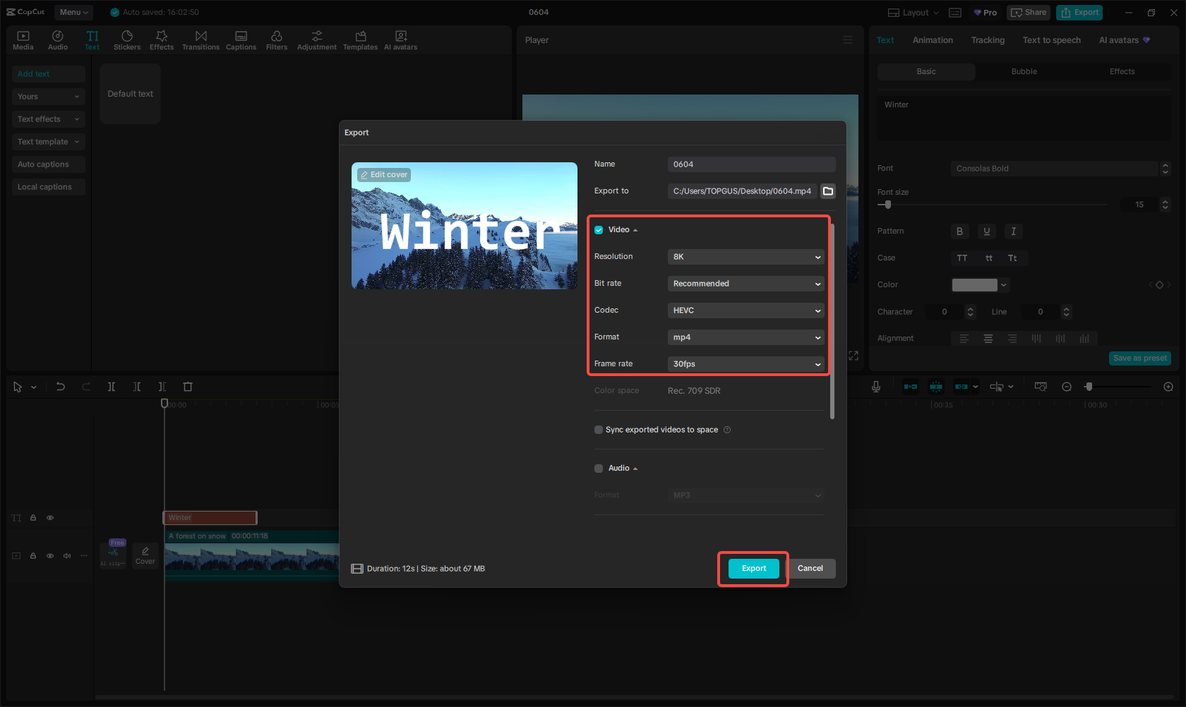Export the video