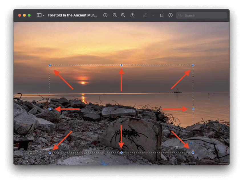 use the cropping tool to choose the desired area