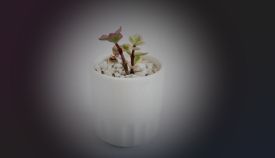 Hitam pudar dalam kegunaan pameran produk