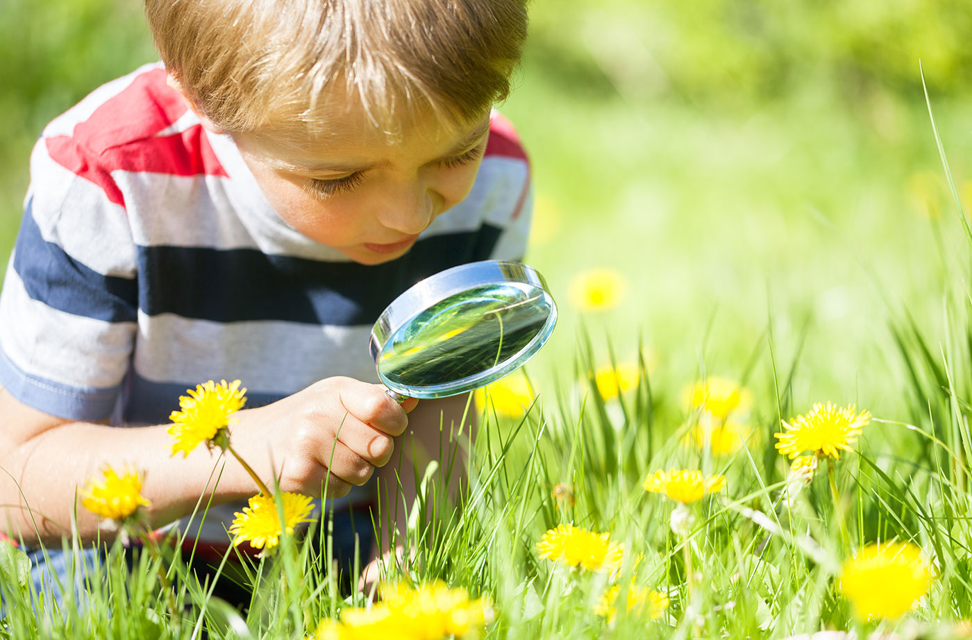 Create education-related content on mother nature