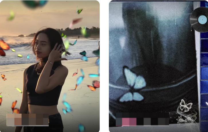 Butterfly Effect trend