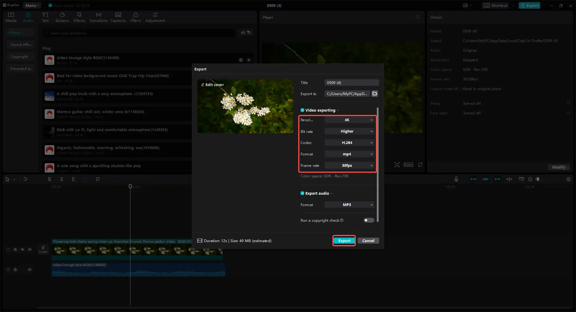 Choose resolution and format before export