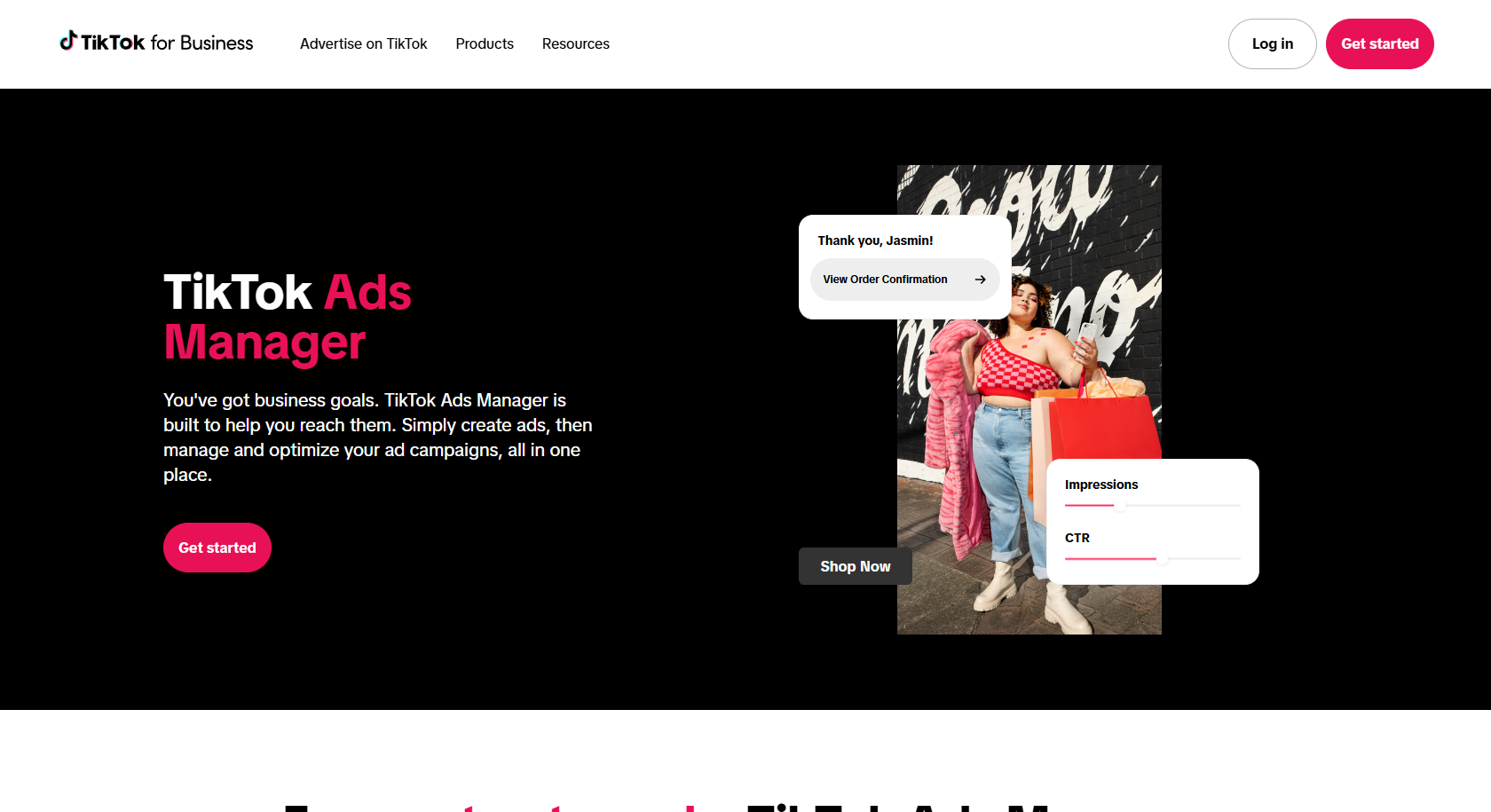TikTok Ads Manager