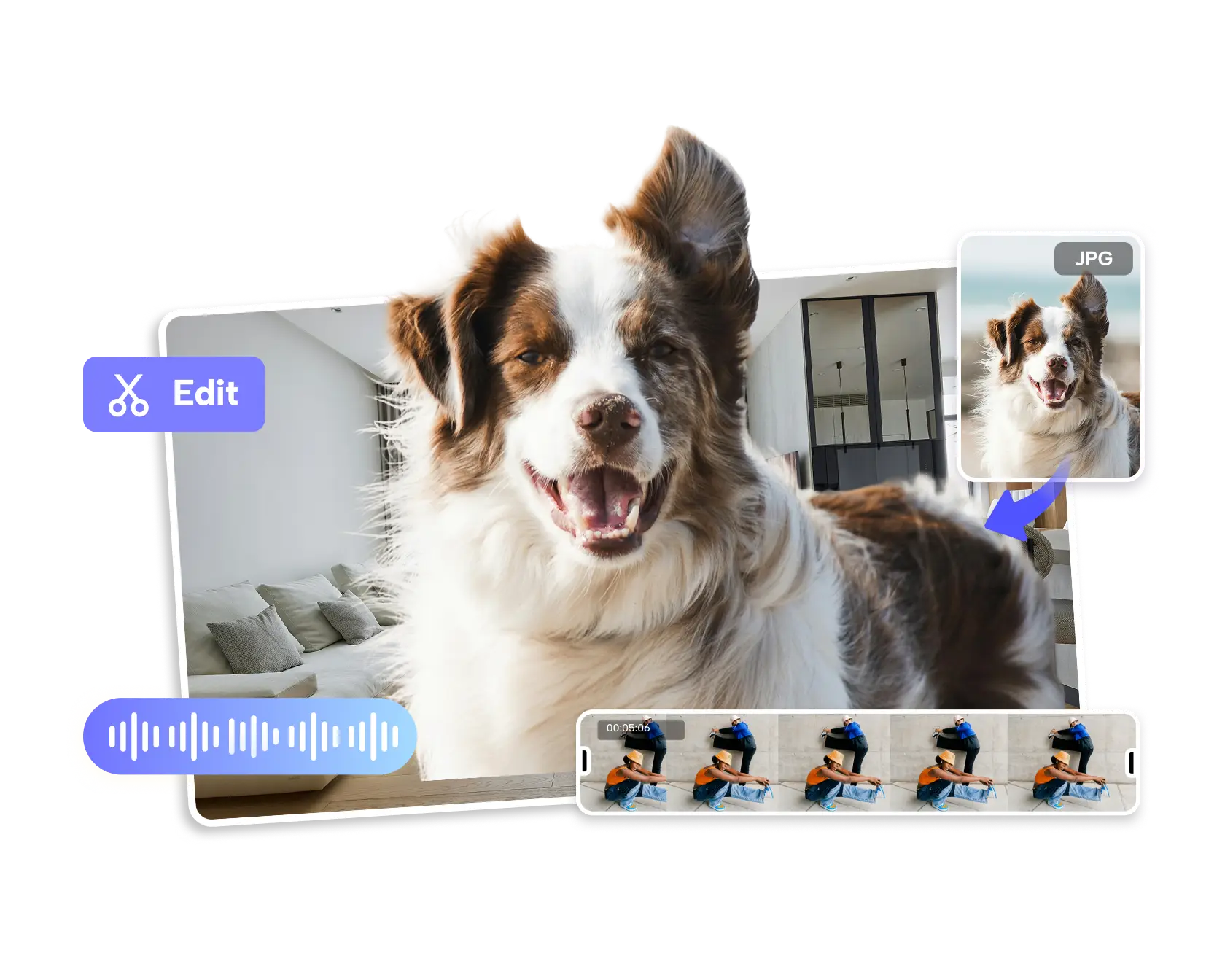 Top Platforms for Funny Dog DJ Memes and Videos