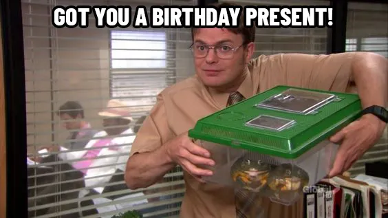 Imagen que muestra un meme gracioso de cumpleaños de una caja con ranas.