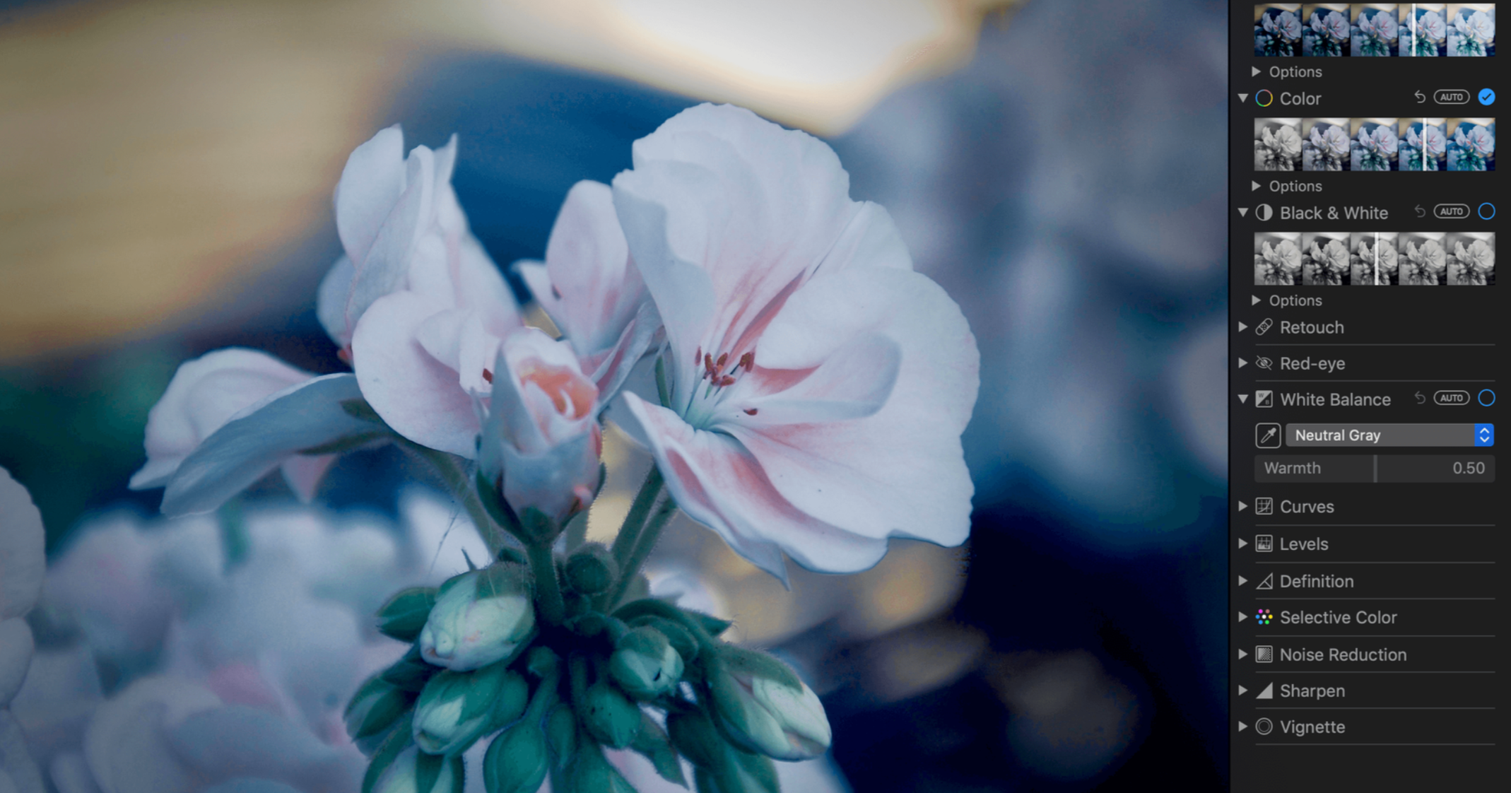 Apple Photos interface — free basic photo editor Mac