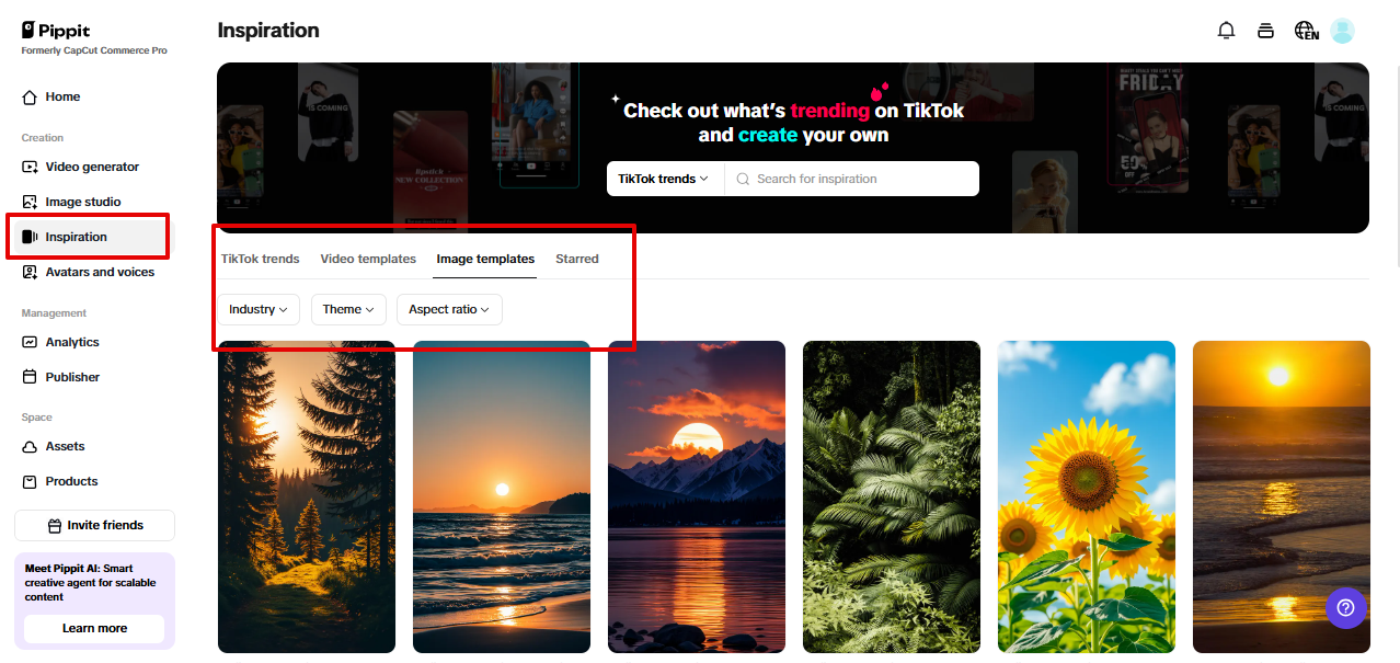 Pippit image templates