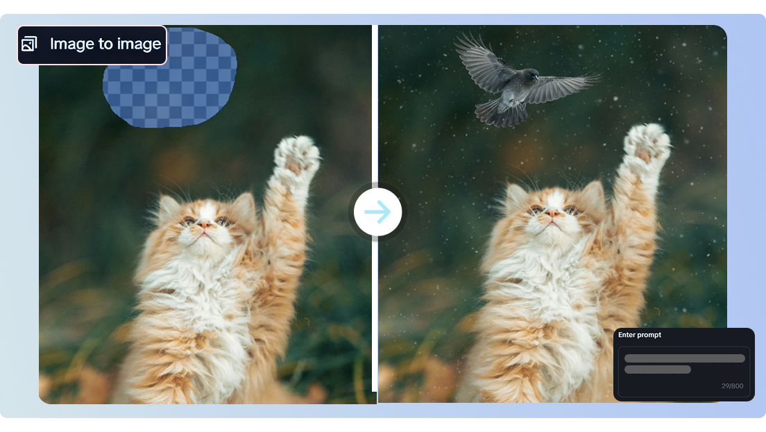 online transparante fotomaker