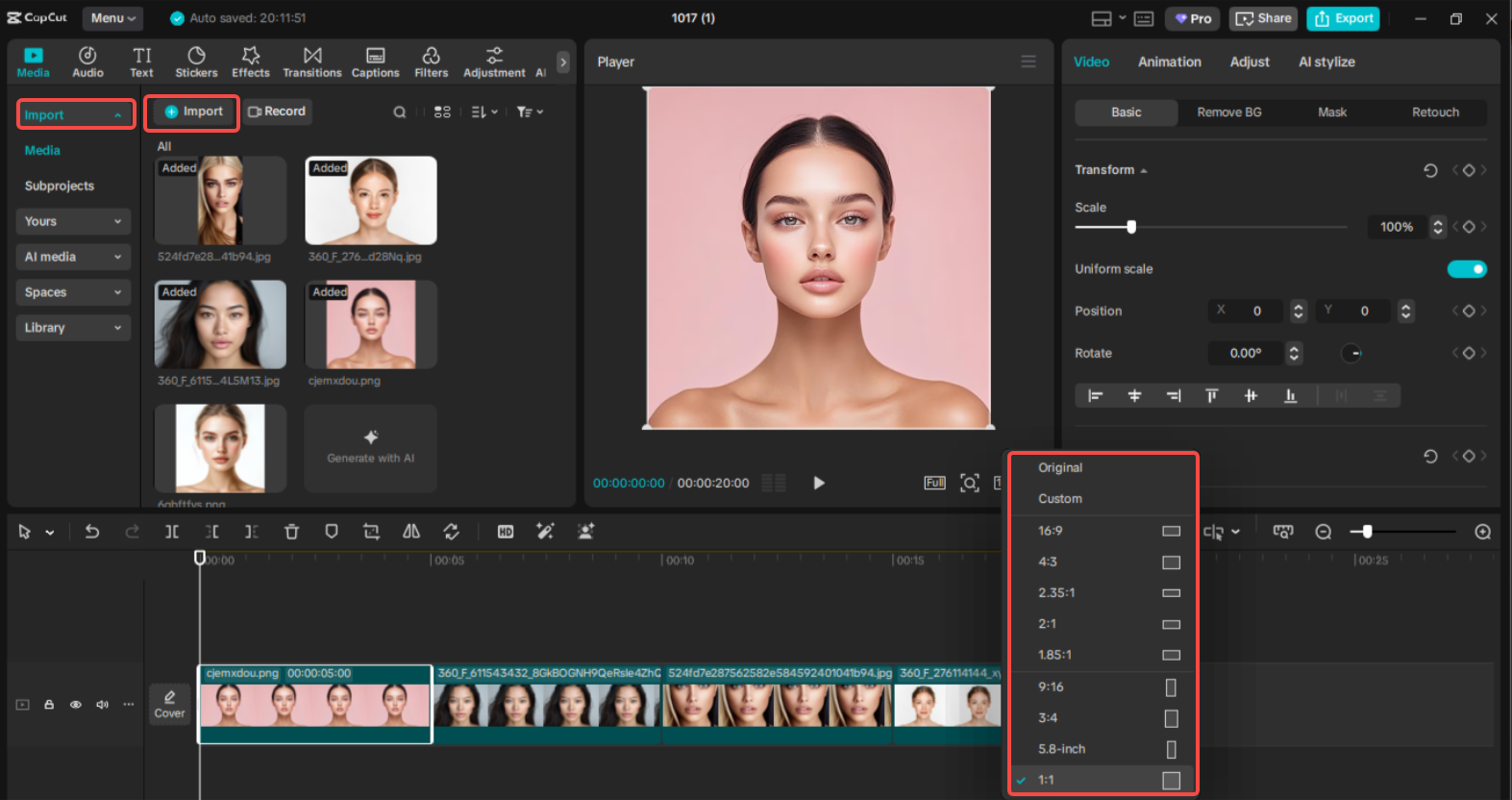 Import and prepare assets