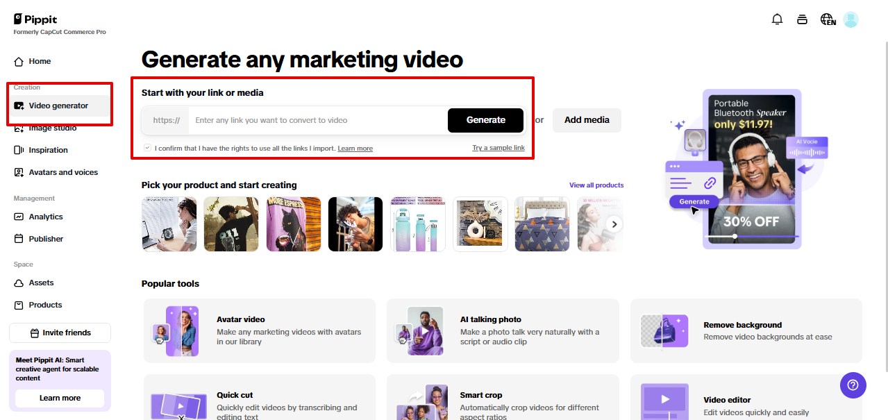 Pagpasok ng link para sa paggawa ng video sa Pippit