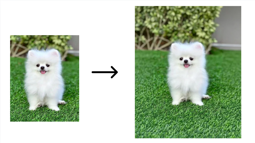 AI expand tool