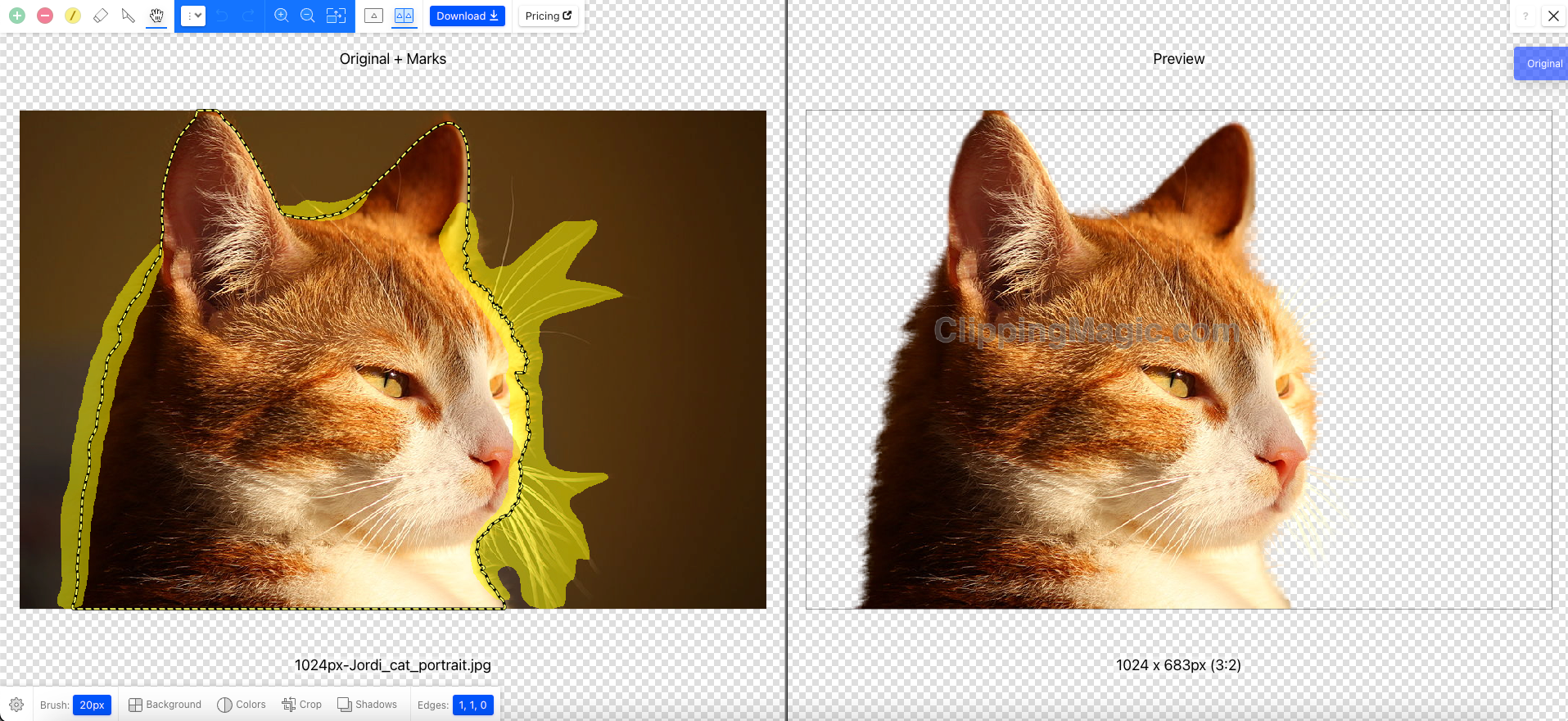 Remove background with Clipping Magic