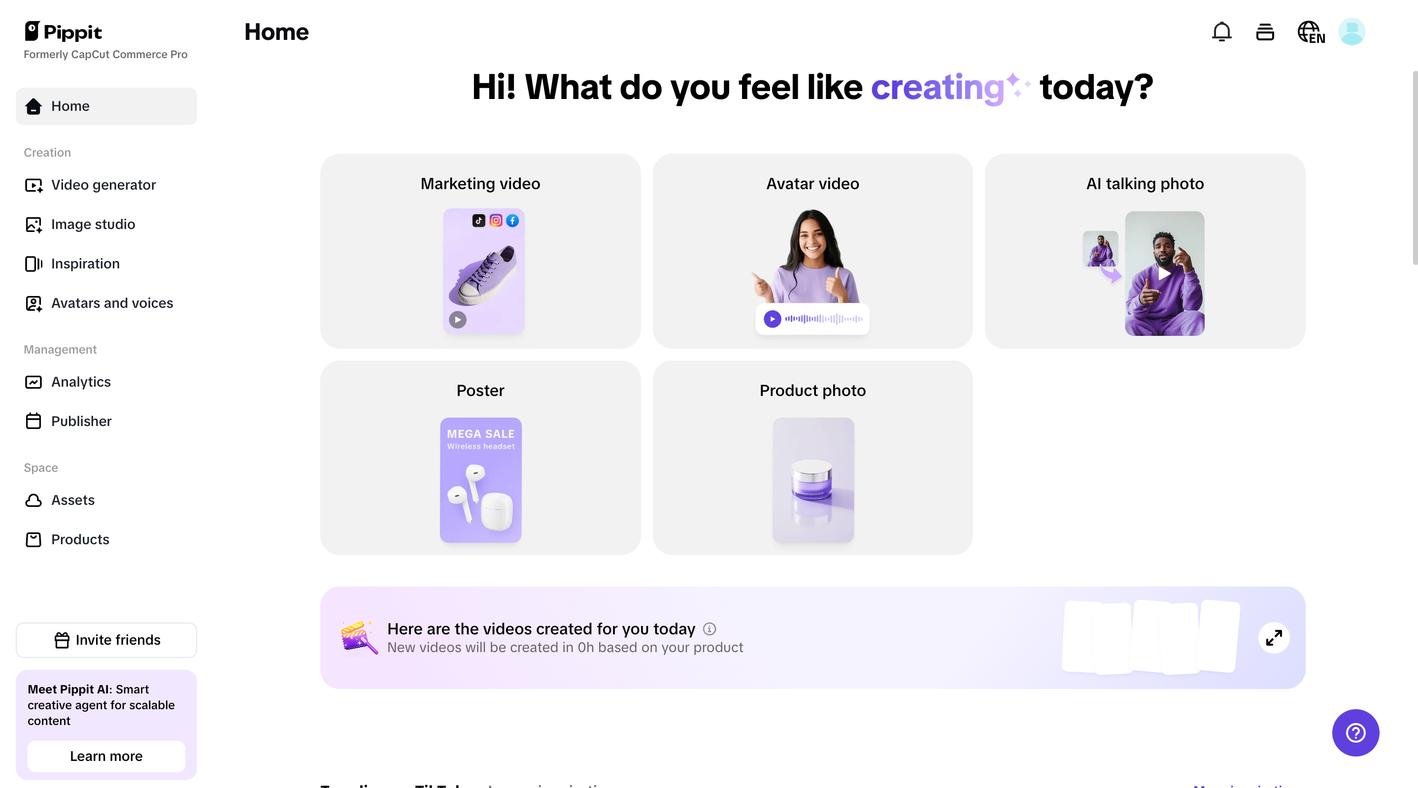 Pippit interface