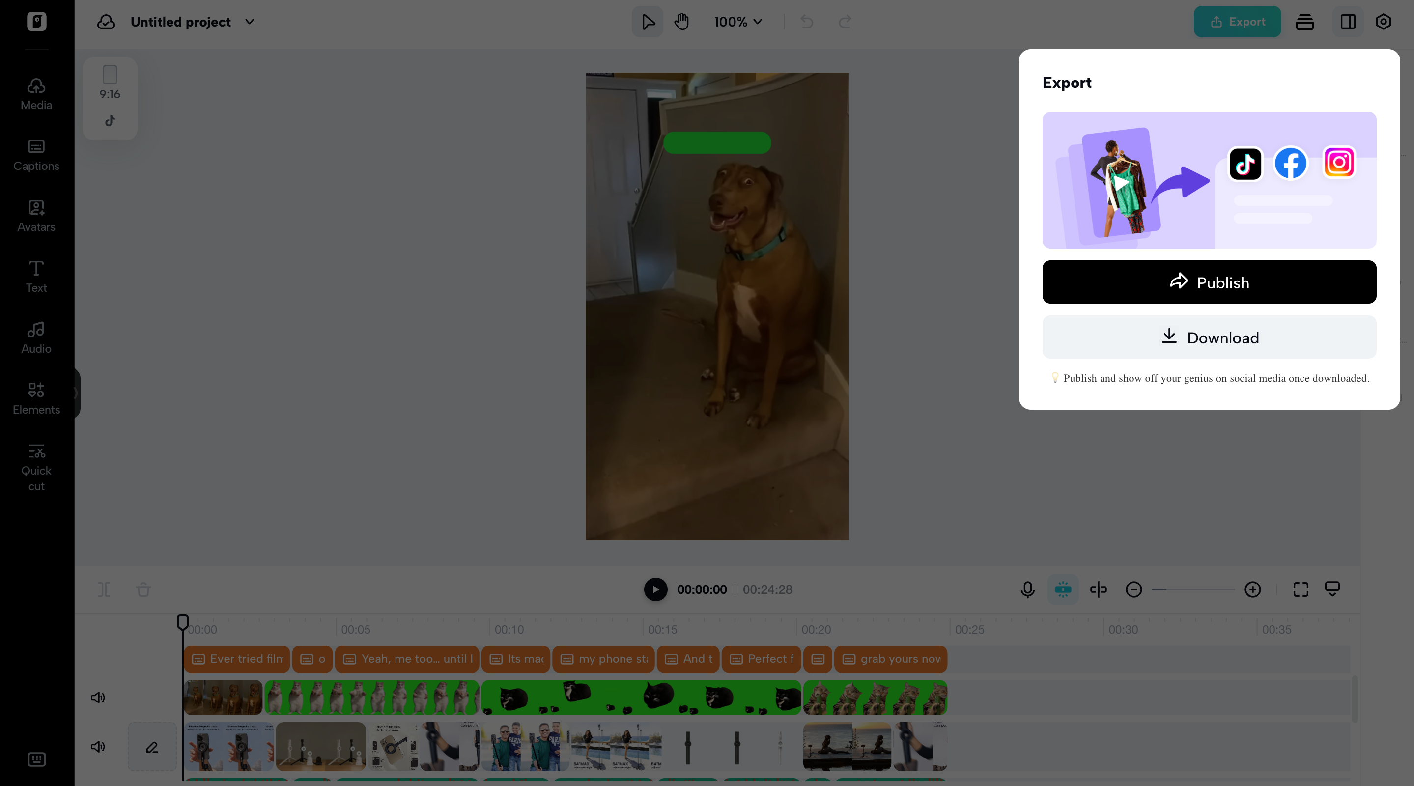 Export your video