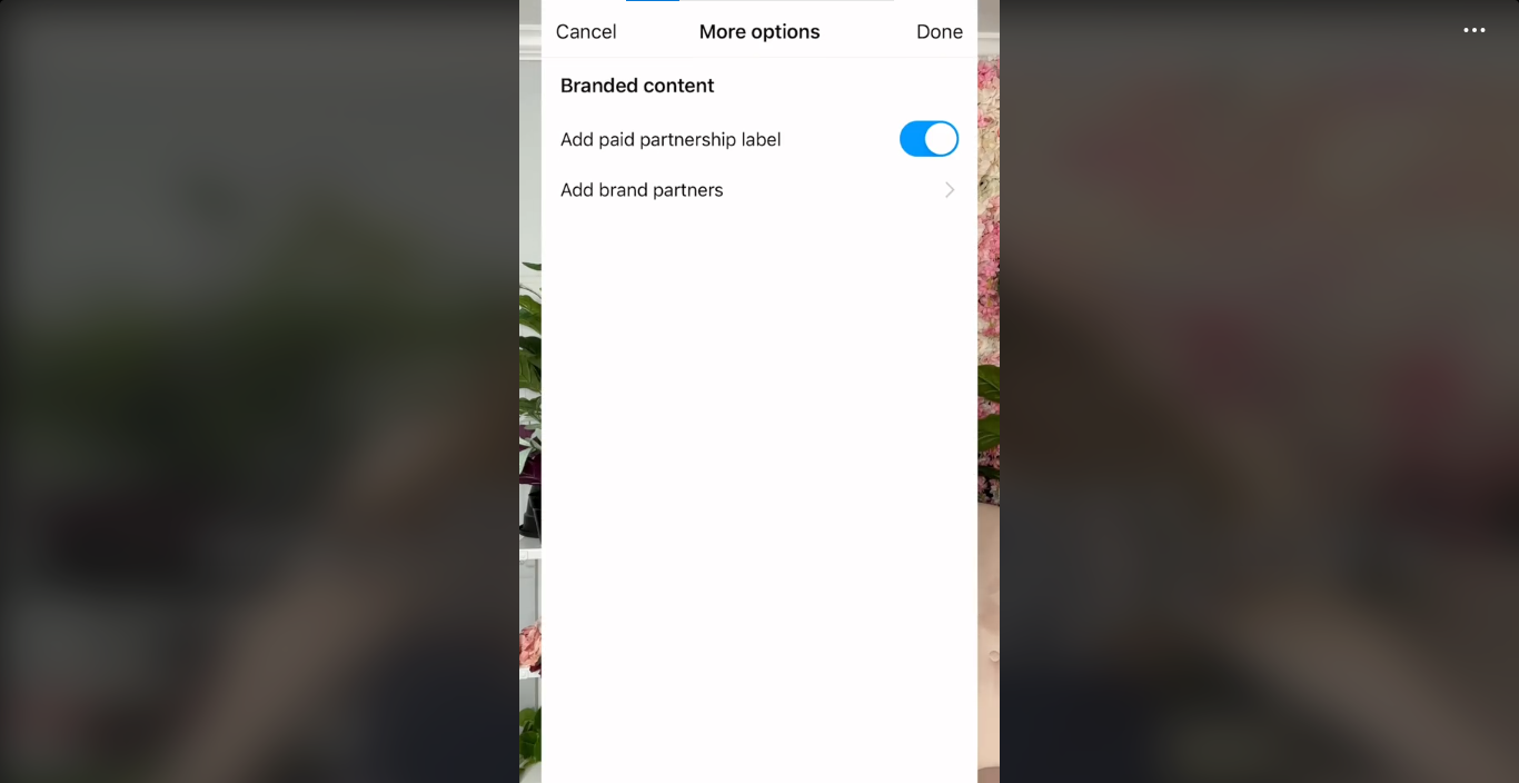 Branded content toggle