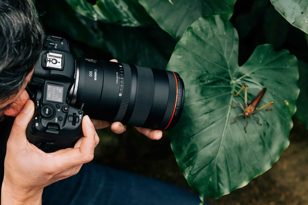 Canon 100mm RF macro lens with image stabilization