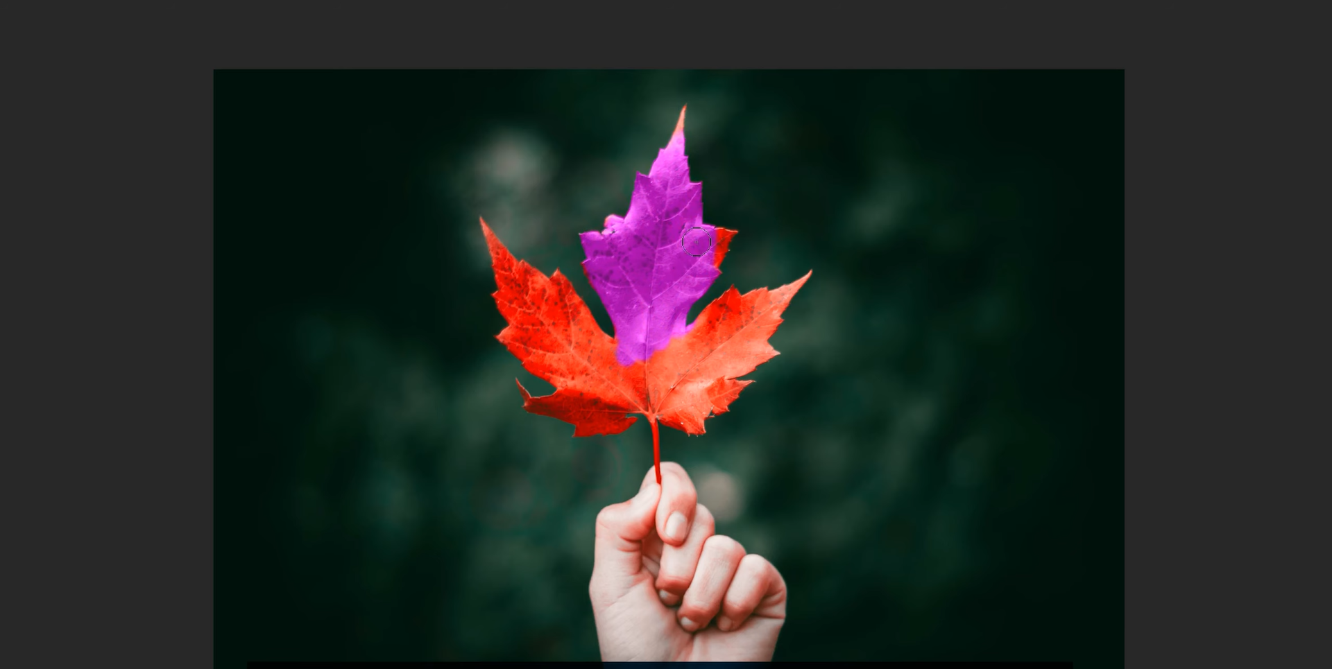 how to change a color of something in photoshop