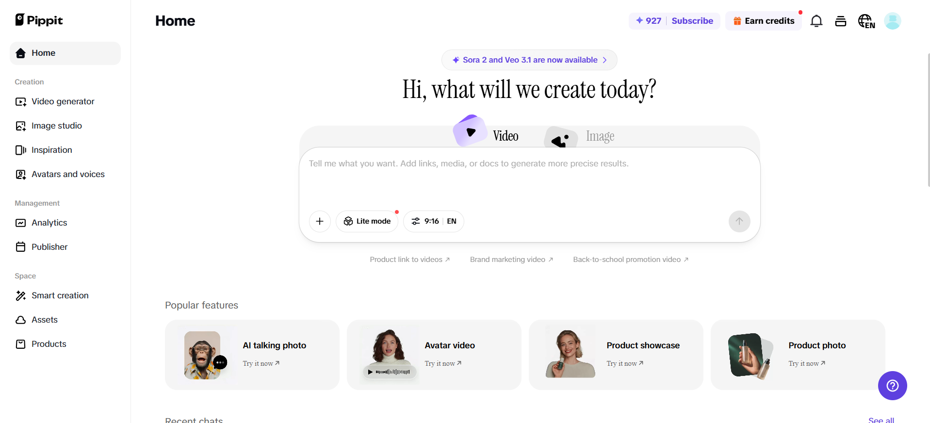 Pippit interface