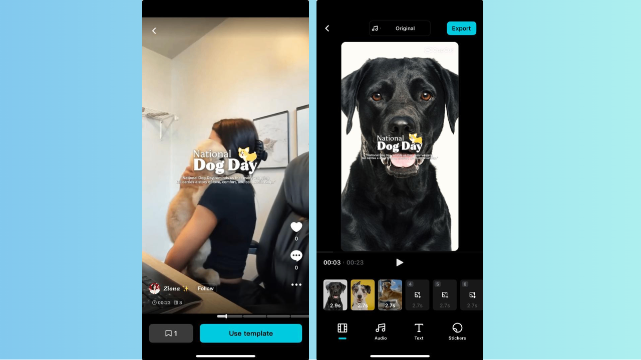 Köpek fotoğraflarınızla şablonları özelleştirin