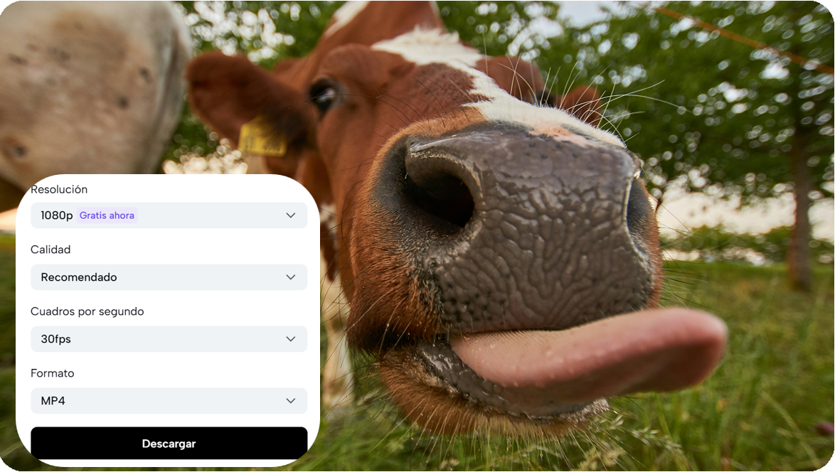 Seleccionar la resolución del vídeo