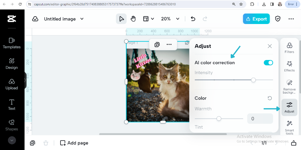 ai color coloration