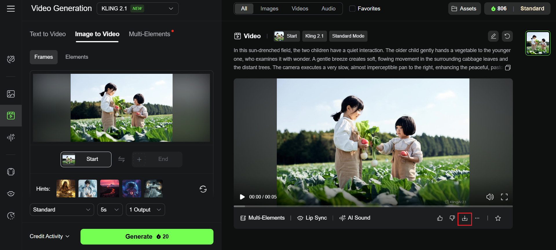 Download your video