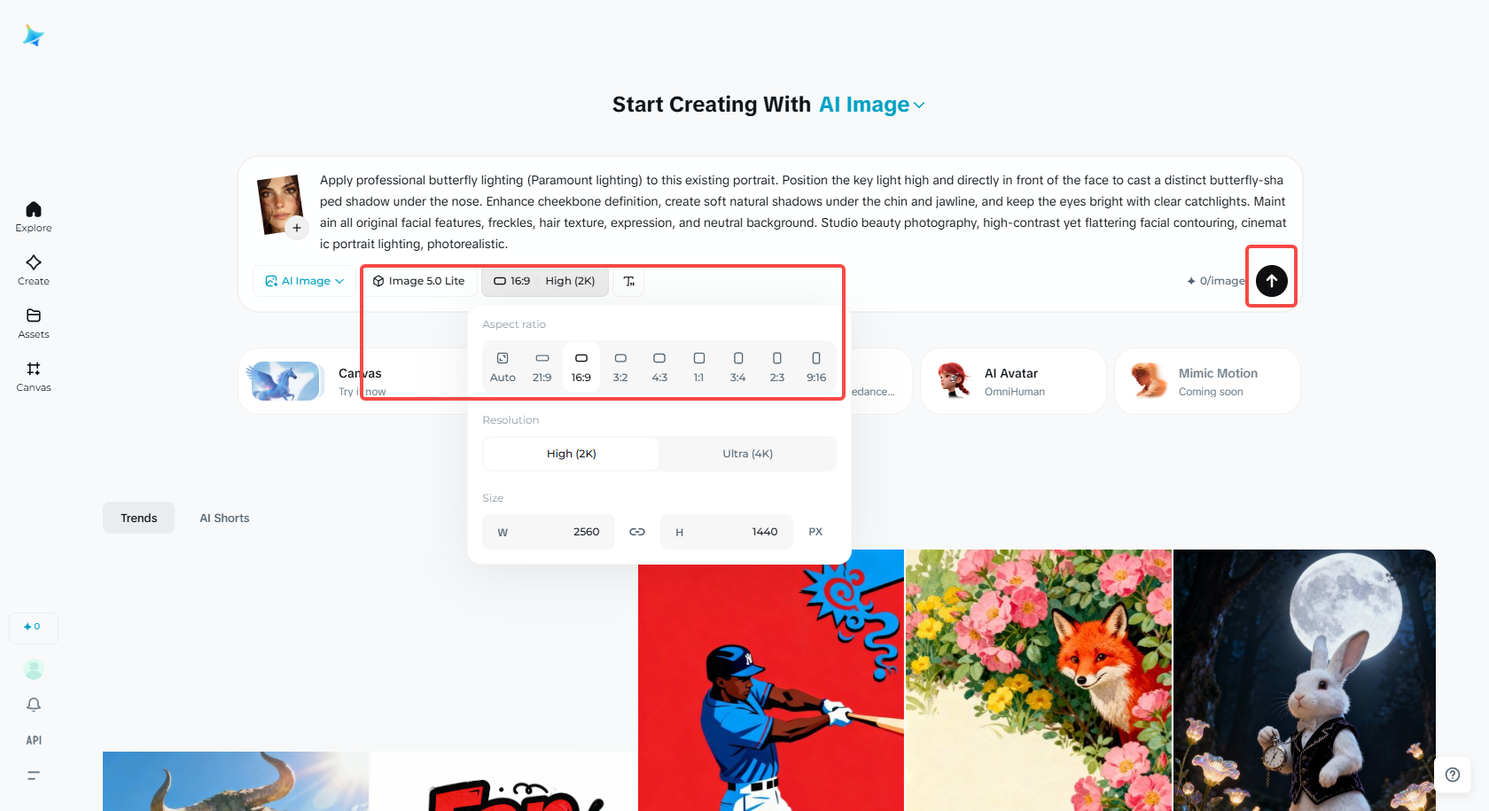 Selectați modelul de imagine și setările portretului