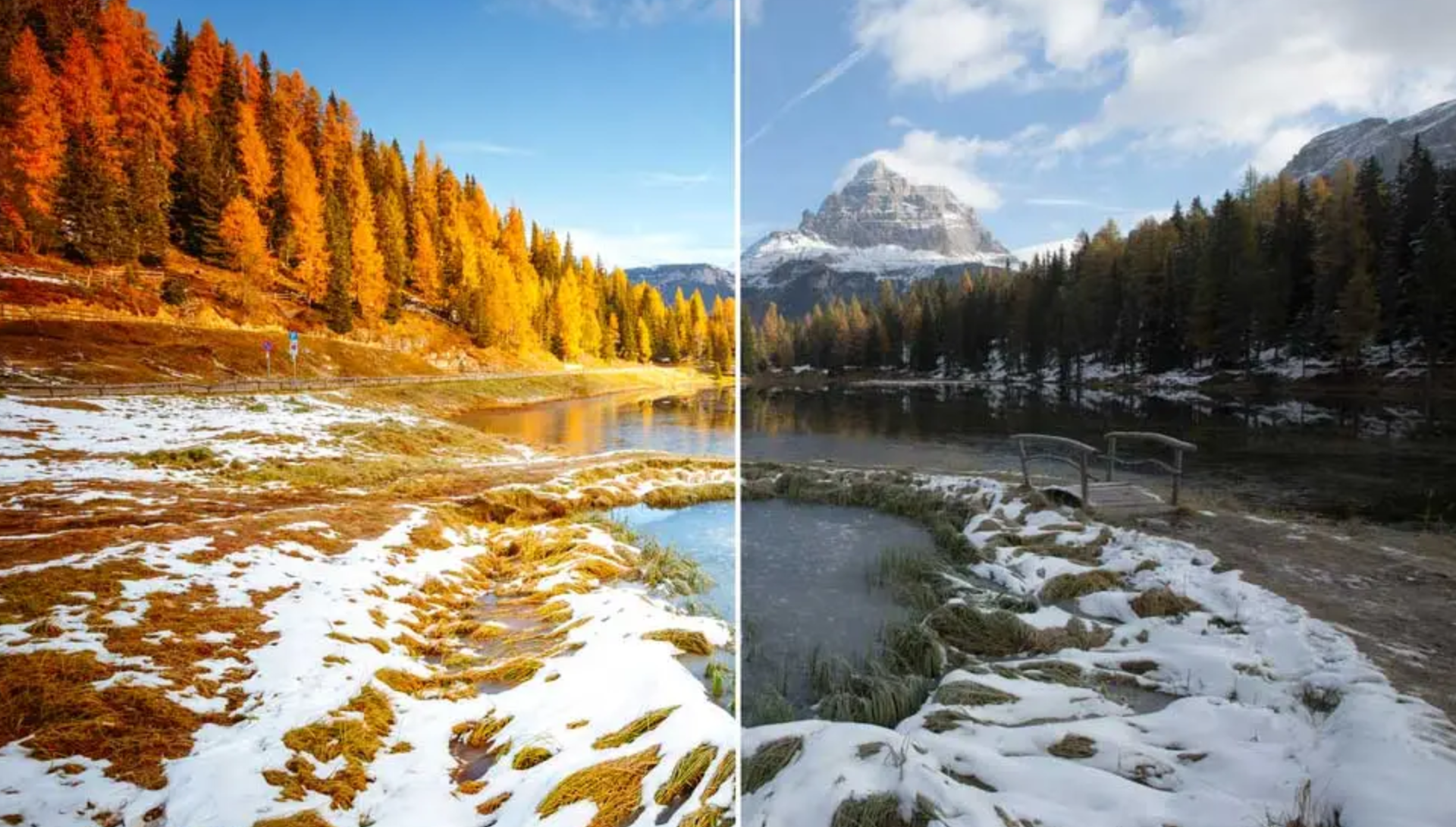 LUT for color grading