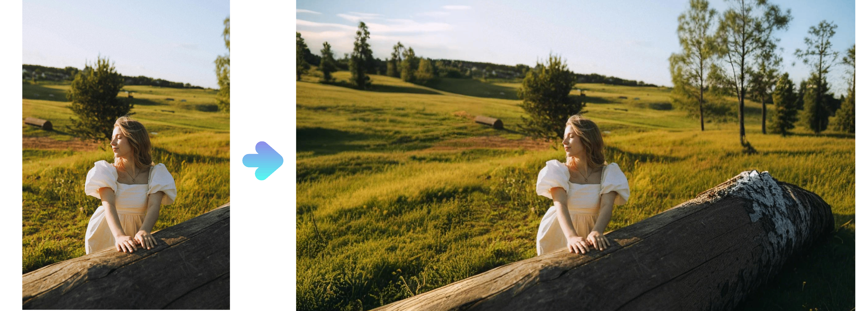 AI expanded photo of a meadow vibe