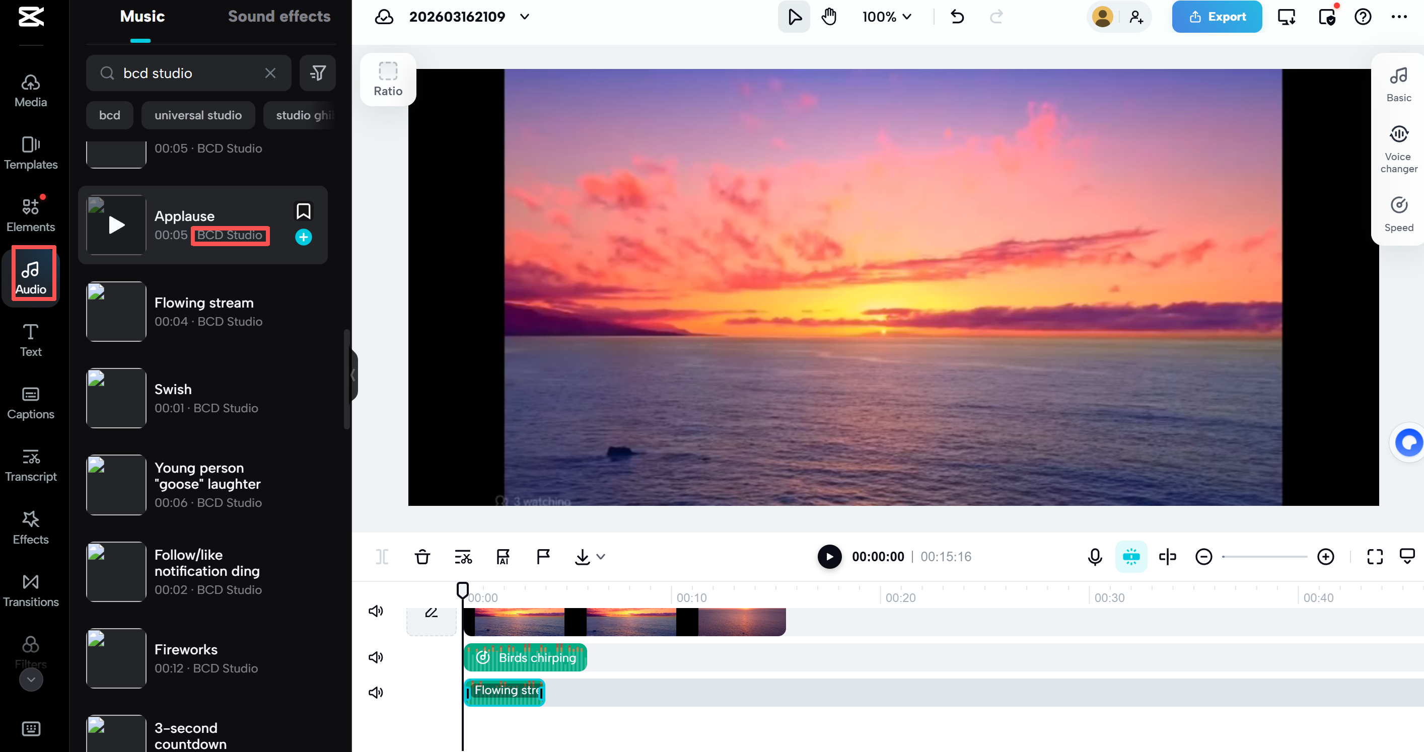 Profesyonel kullanıcılar BCD Studio 'dan müzik ekleyebilir
