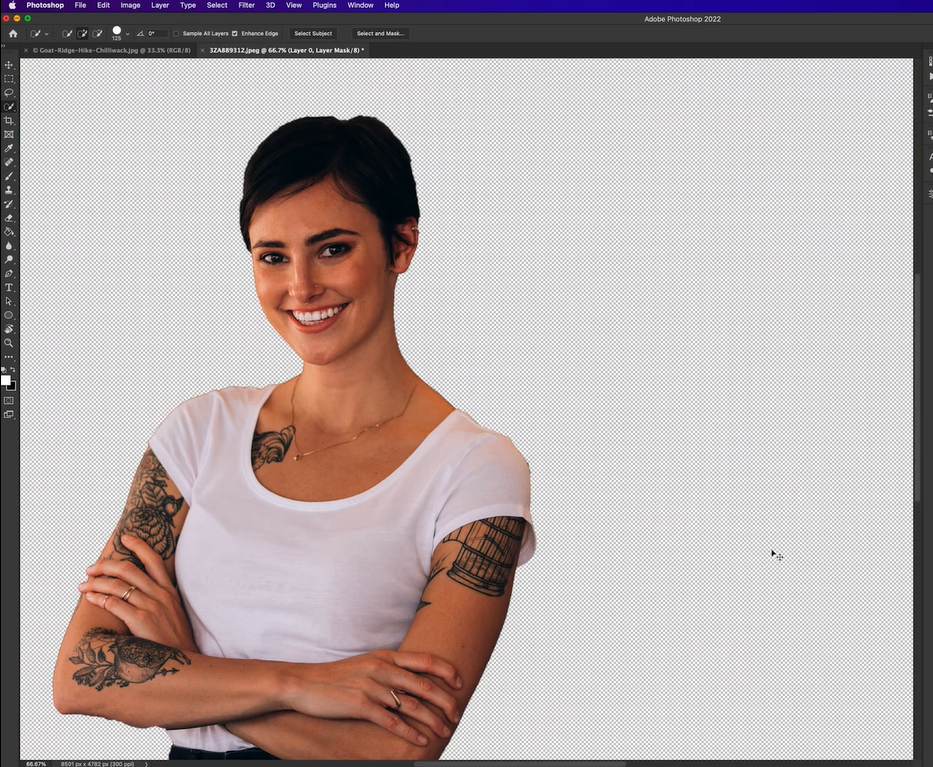 Make a new layer with the cutout in Photoshop