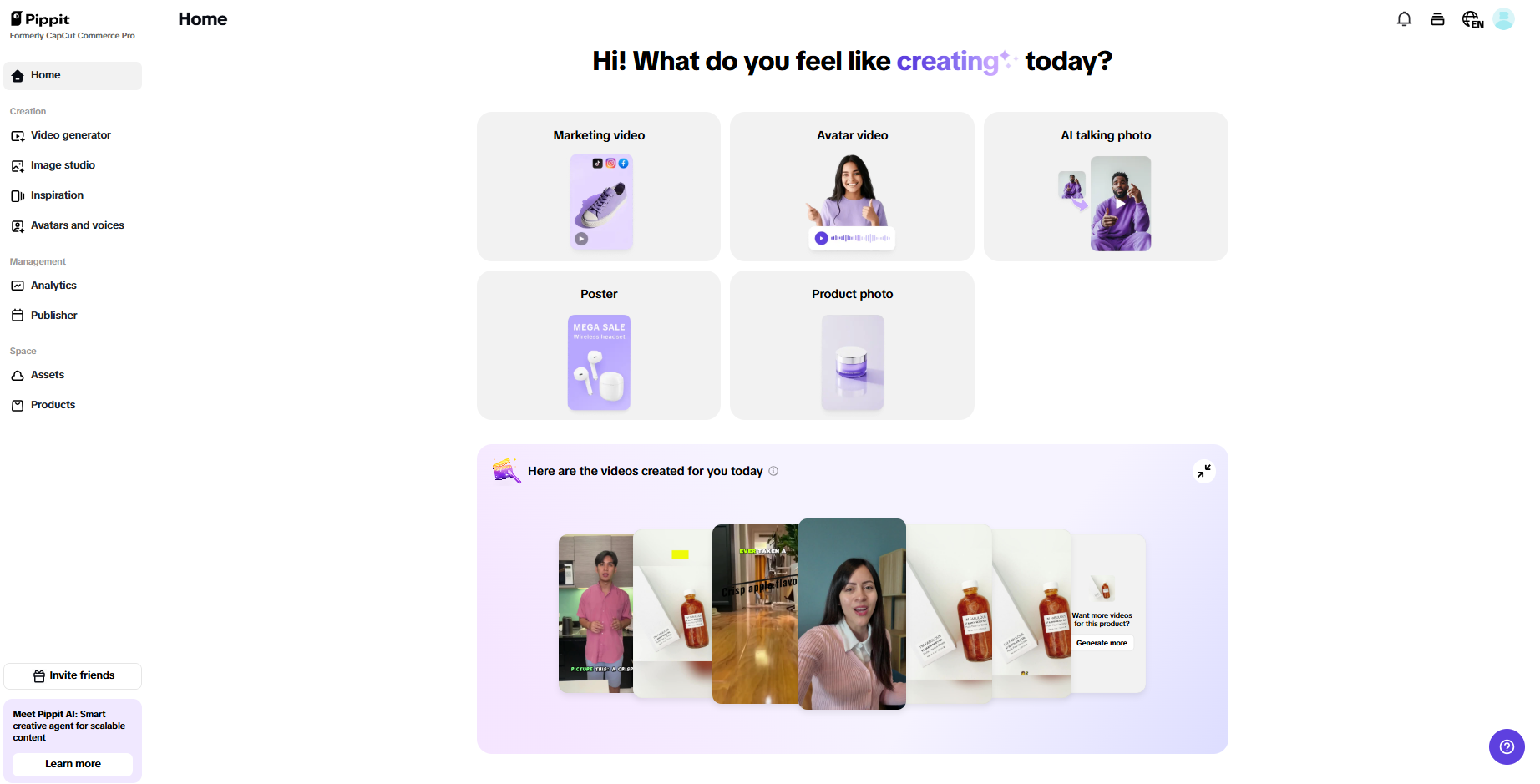 Pippit interface