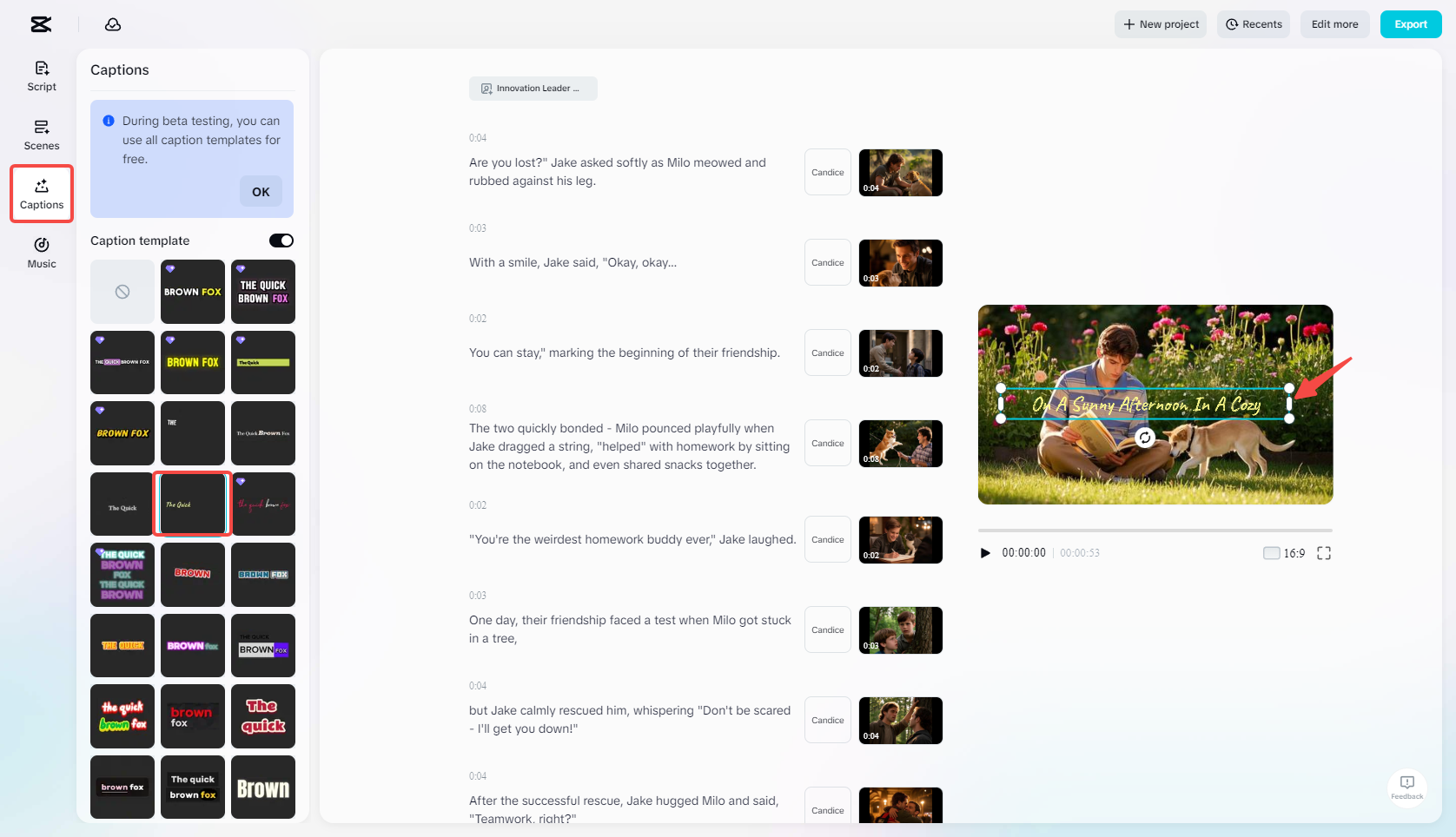 Editing the video with the Captions feature