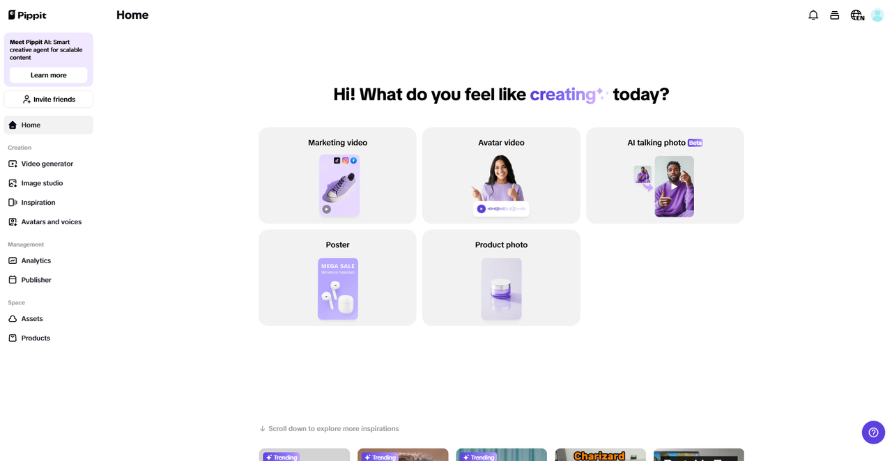 Pippit interface