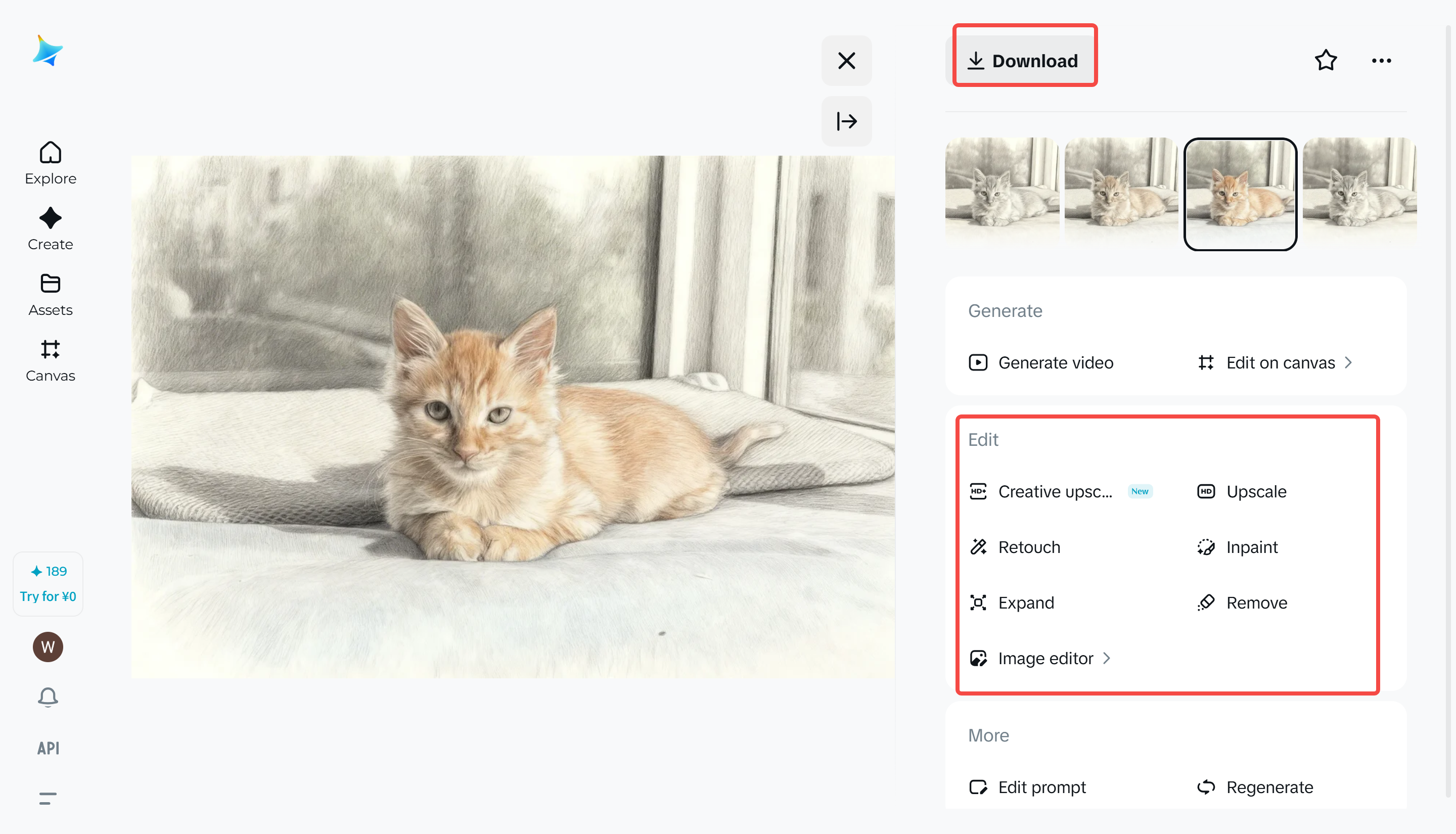 Descargar la imagen del boceto