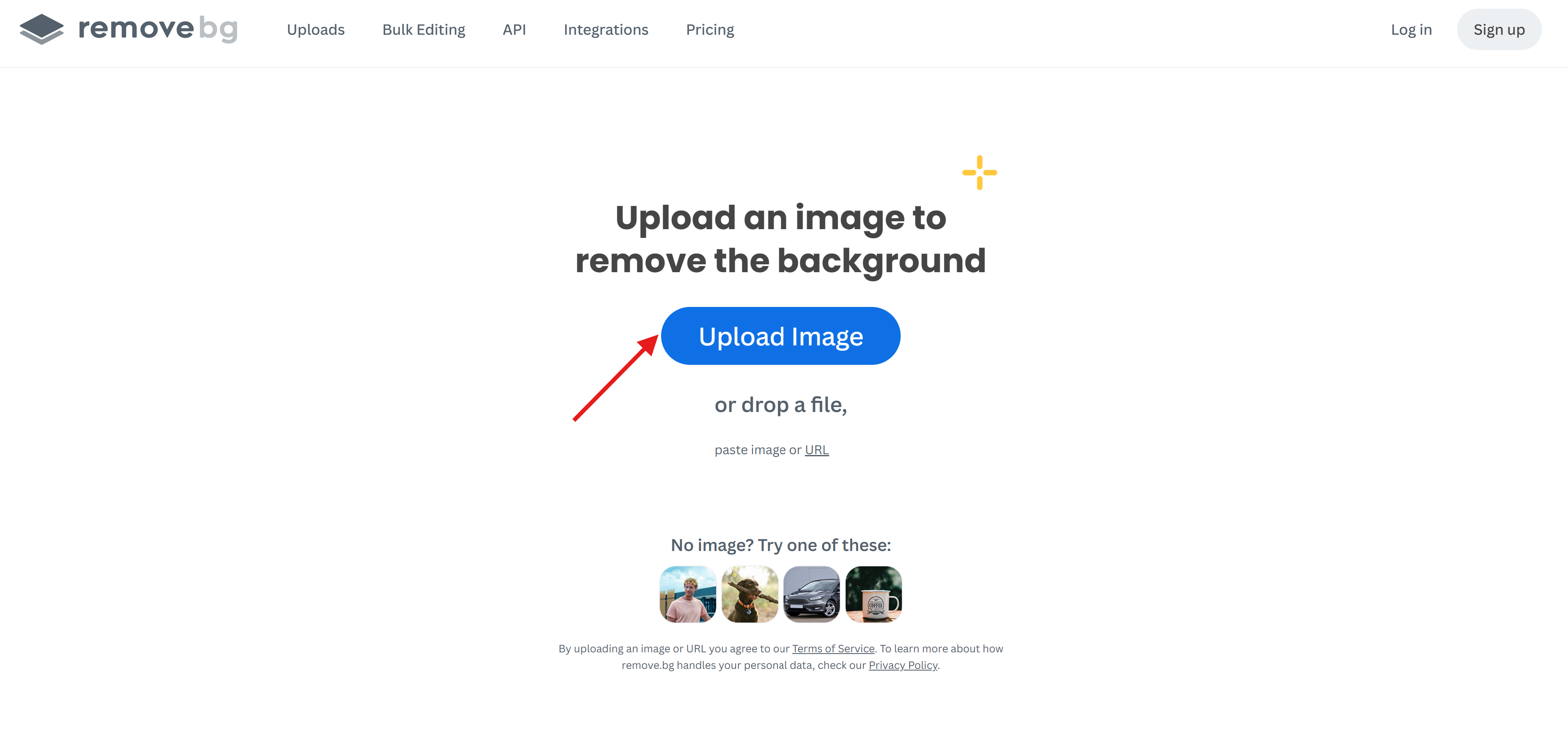Özgeçmişlerde fotoğraflar