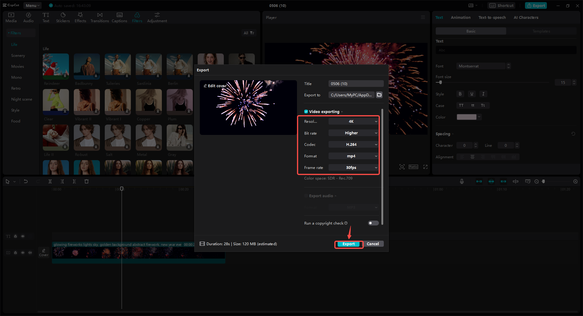 Export the video