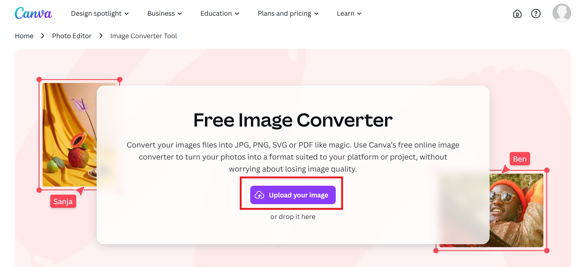 Select an image