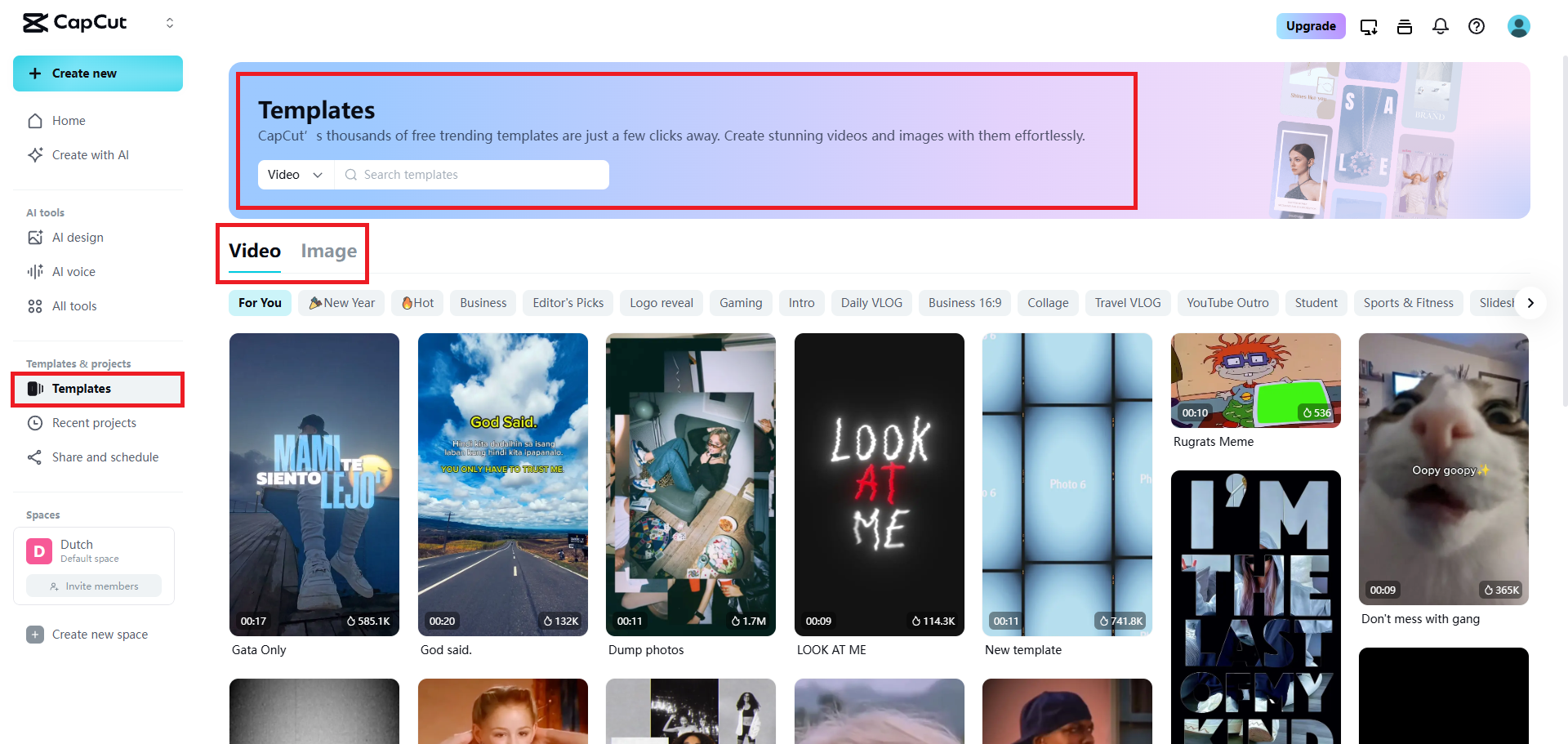 Escolha a seção de modelos