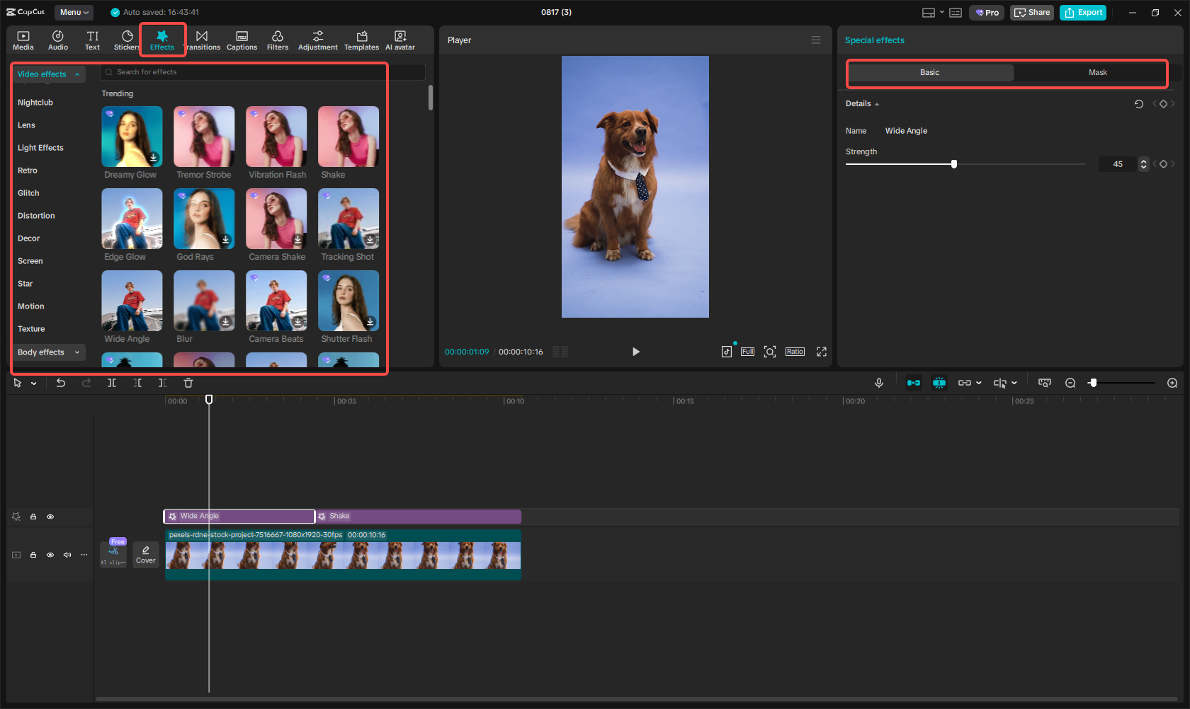 Edit the video with diverse effects